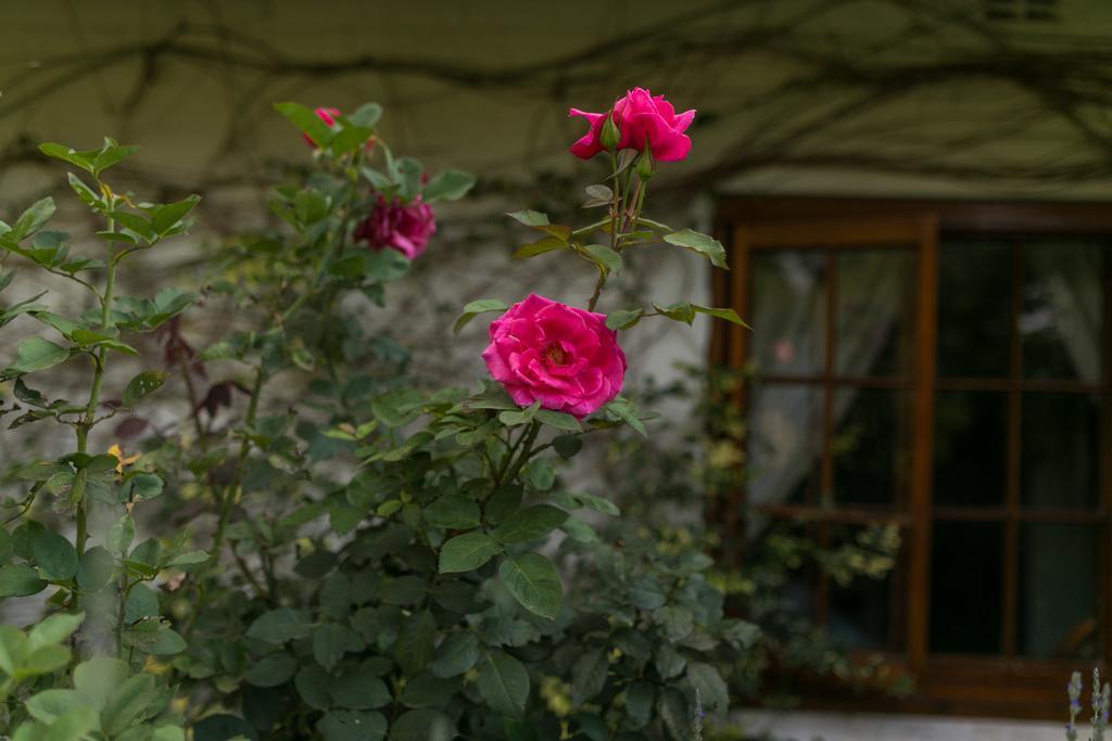 Grace Guest House Johannesburg Zewnętrze zdjęcie