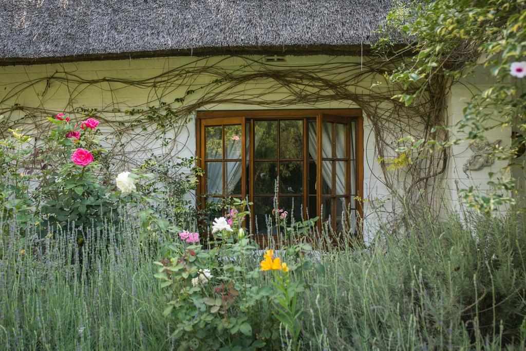 Grace Guest House Johannesburg Zewnętrze zdjęcie